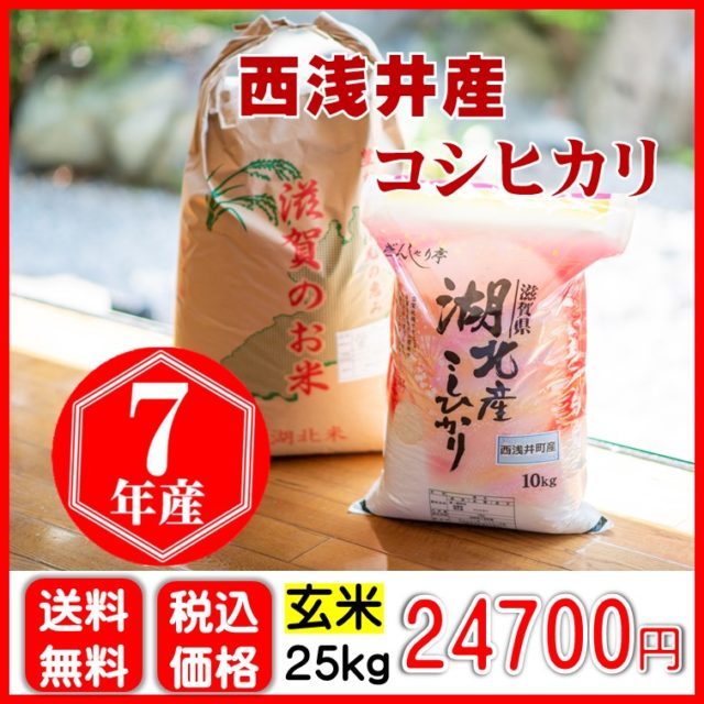 西浅井産コシヒカリ〈玄米〉25㎏