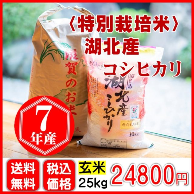 【特別栽培米】湖北産コシヒカリ 〈玄米〉25㎏
